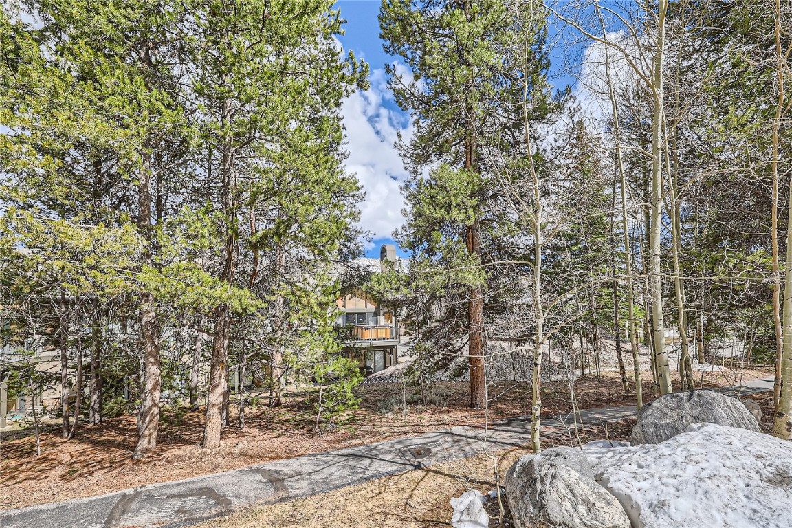 465 Four O Clock ROAD T2