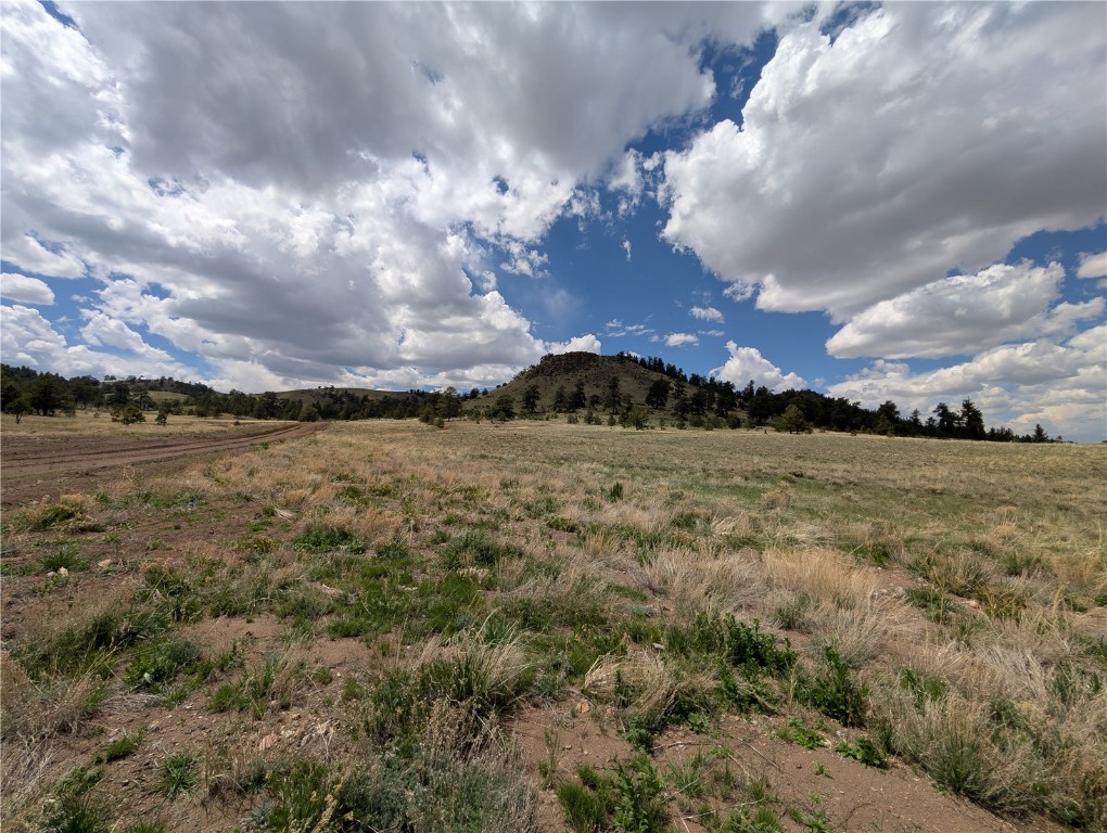 0 Black Beaver/Keechi ROAD