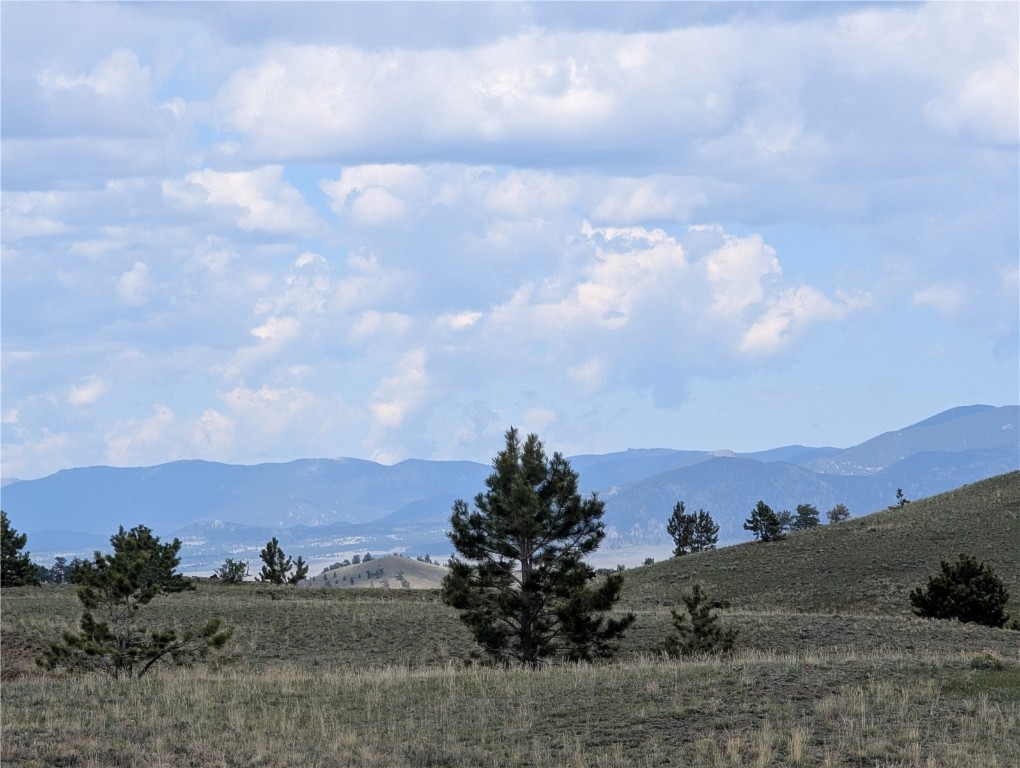 0 Black Beaver/Keechi ROAD