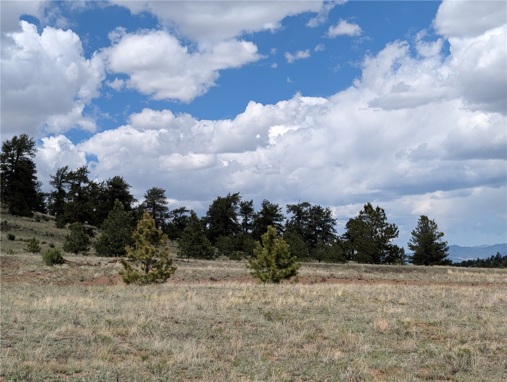 0 Black Beaver/Keechi ROAD