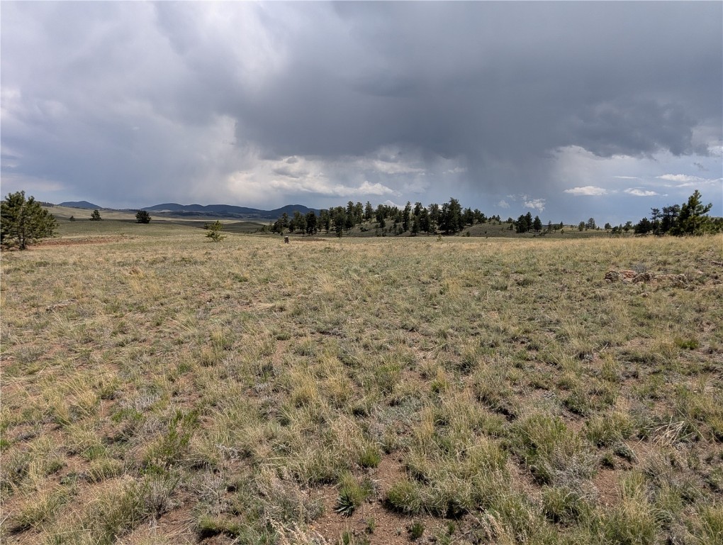 0 Black Beaver/Keechi ROAD