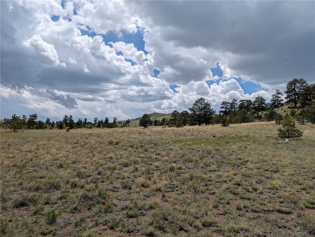 0 Black Beaver/Keechi ROAD