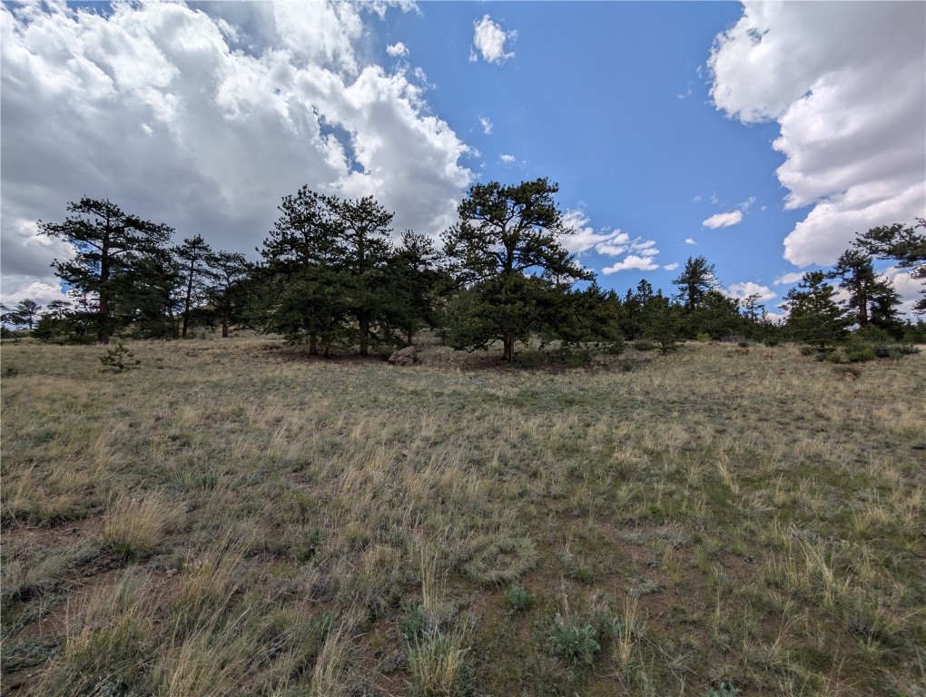 0 Black Beaver/Keechi ROAD