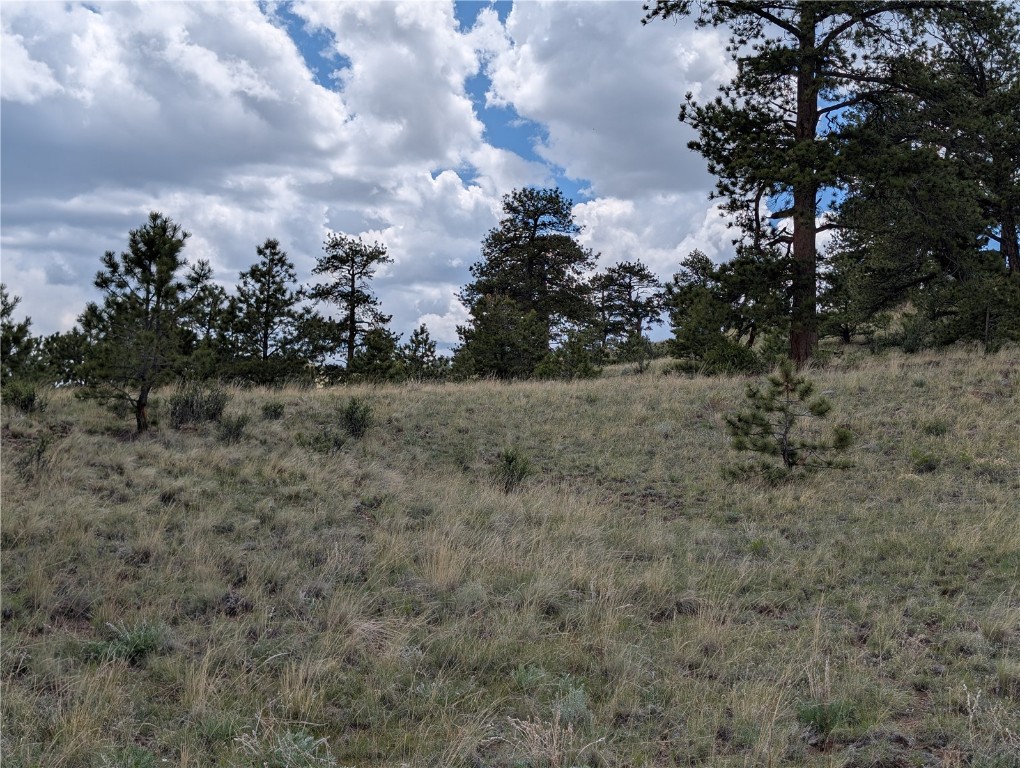 0 Black Beaver/Keechi ROAD