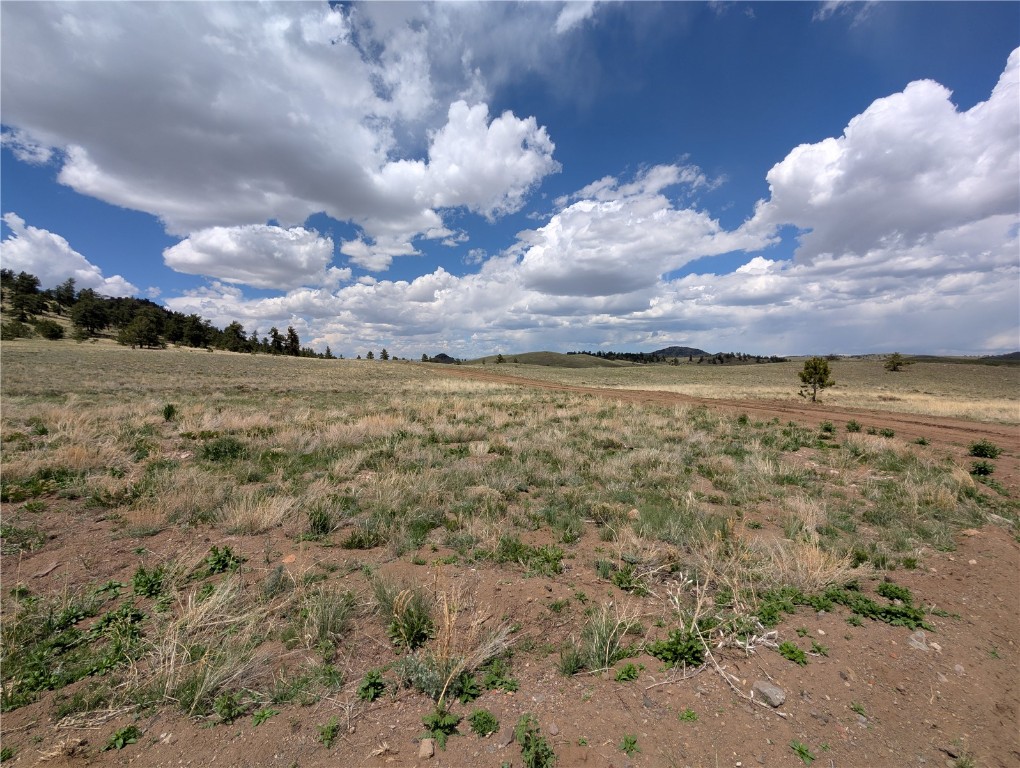 0 Black Beaver/Keechi ROAD