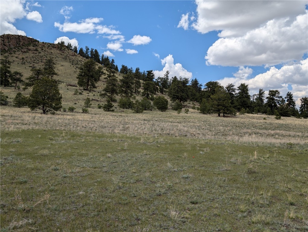 0 Black Beaver/Keechi ROAD