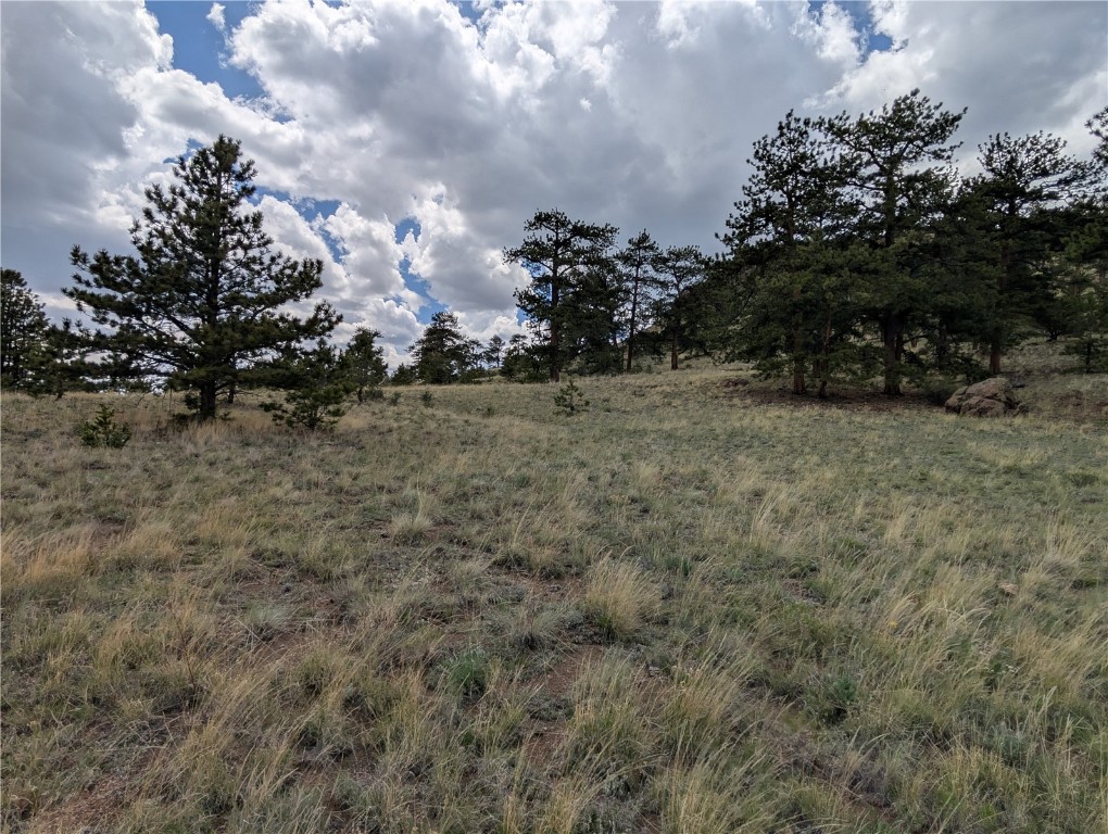 0 Black Beaver/Keechi ROAD