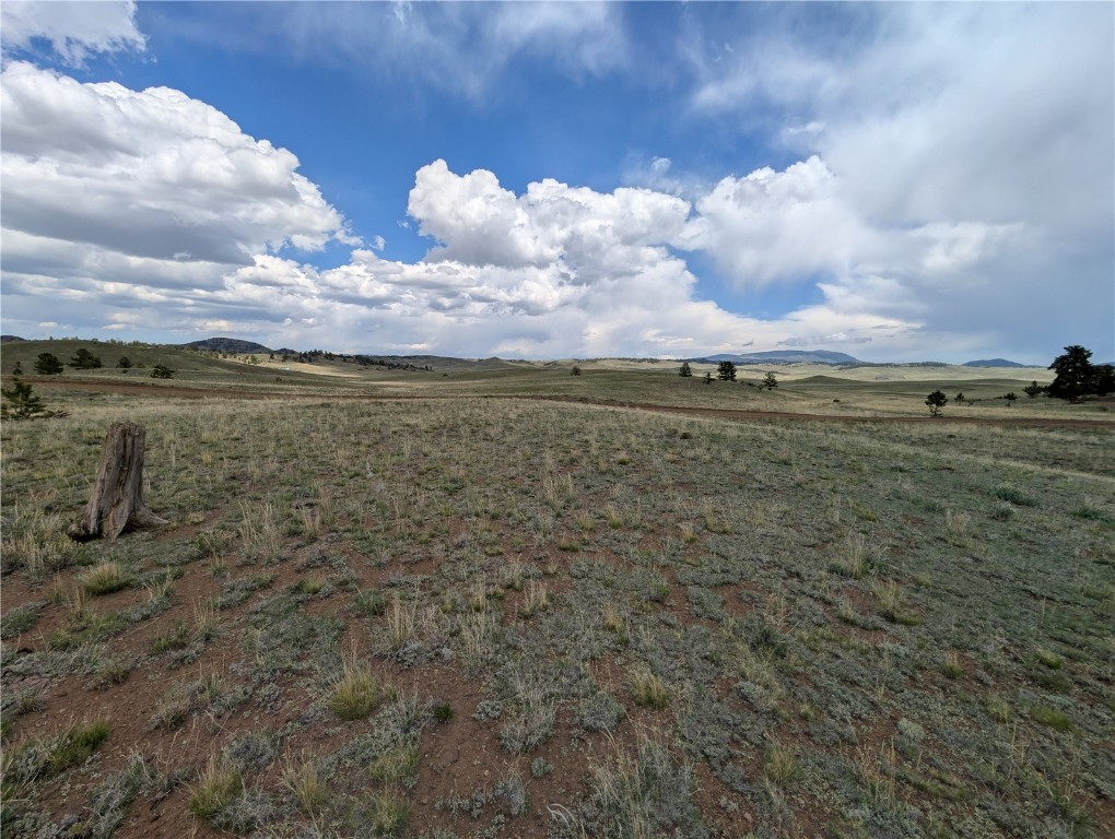 0 Black Beaver/Keechi ROAD