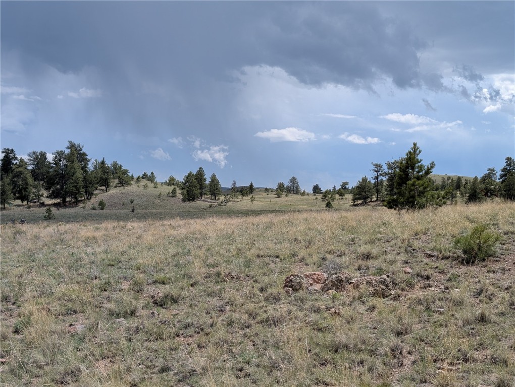 0 Black Beaver/Keechi ROAD