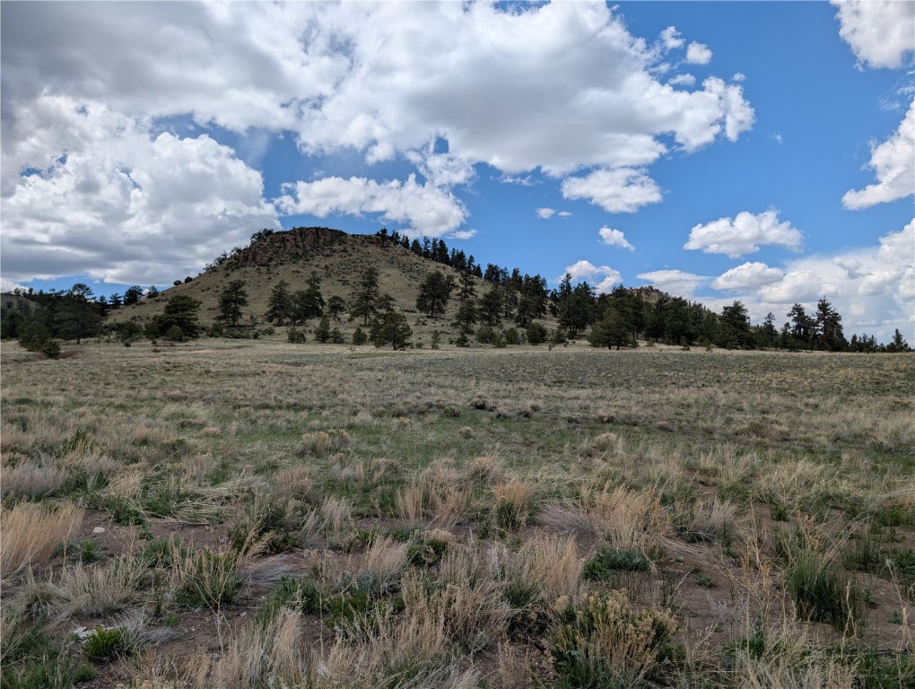 0 Black Beaver/Keechi ROAD