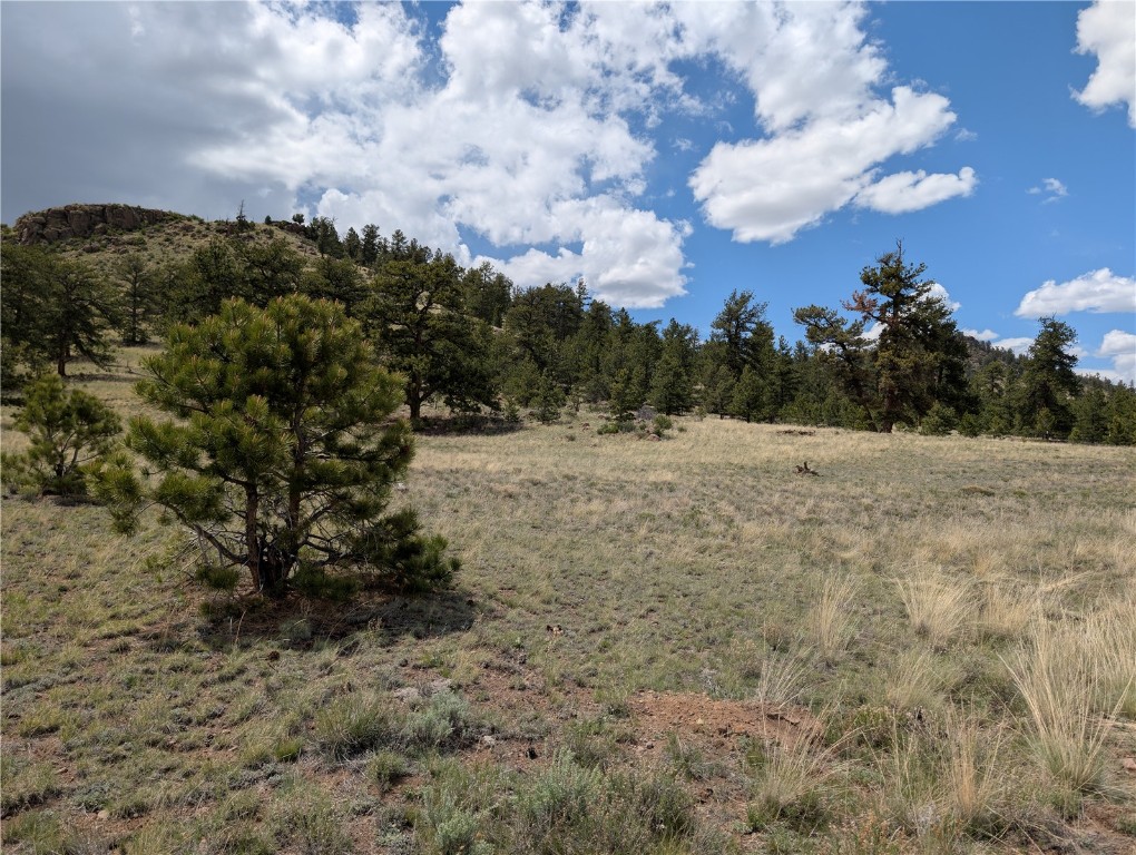 0 Black Beaver/Keechi ROAD