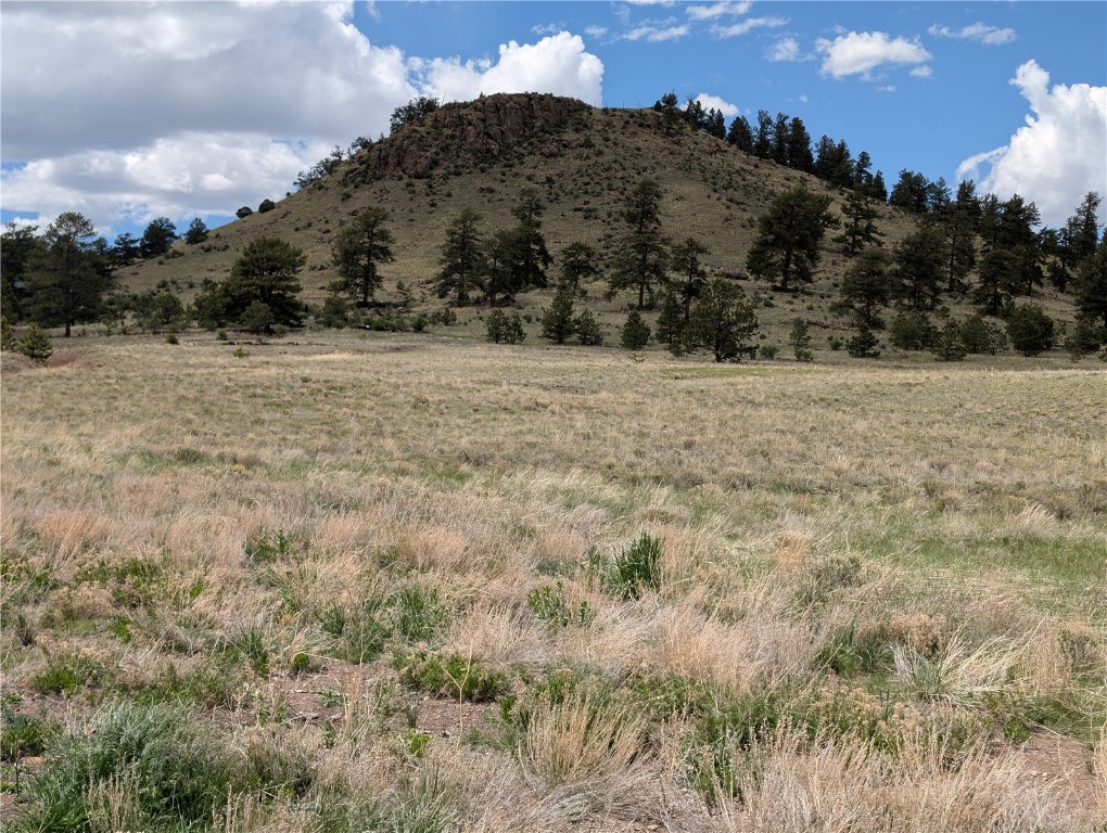 0 Black Beaver/Keechi ROAD