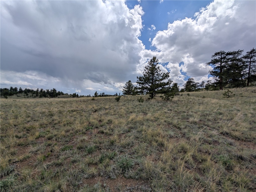 0 Black Beaver/Keechi ROAD