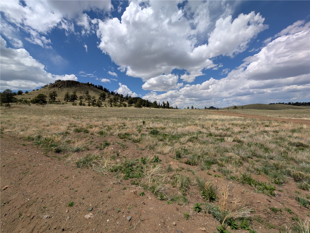 0 Black Beaver/Keechi ROAD