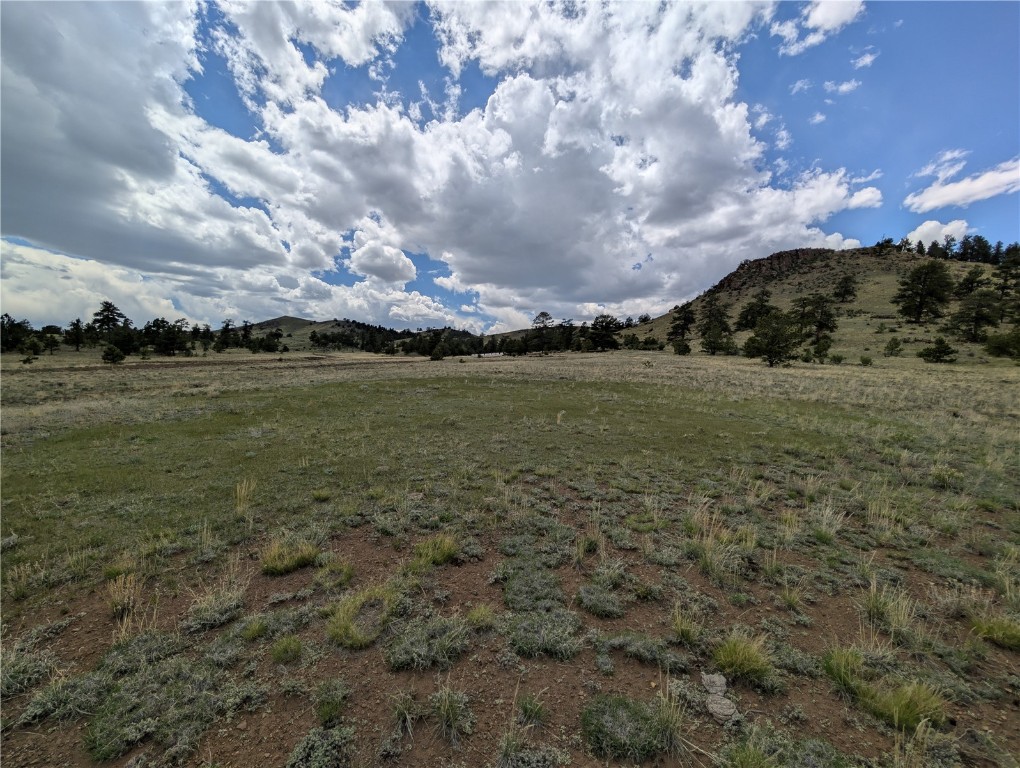 0 Black Beaver/Keechi ROAD