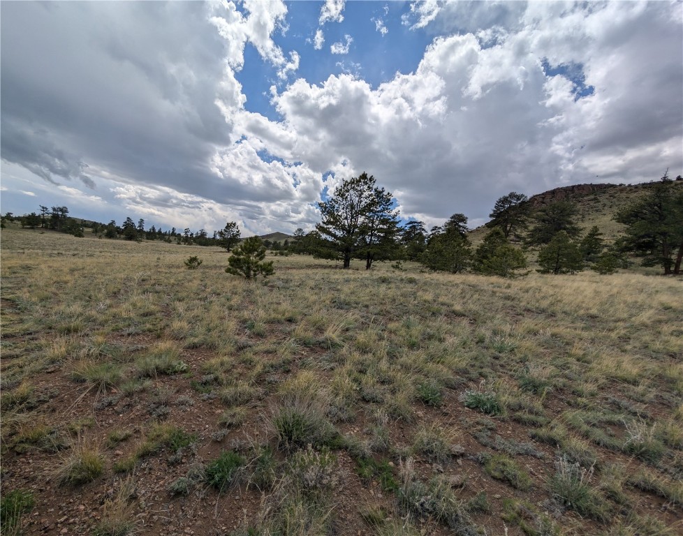 0 Black Beaver/Keechi ROAD