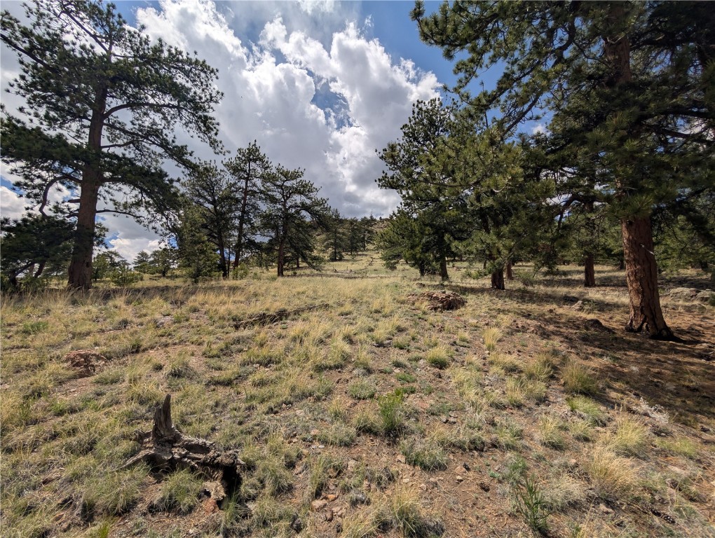 0 Black Beaver/Keechi ROAD