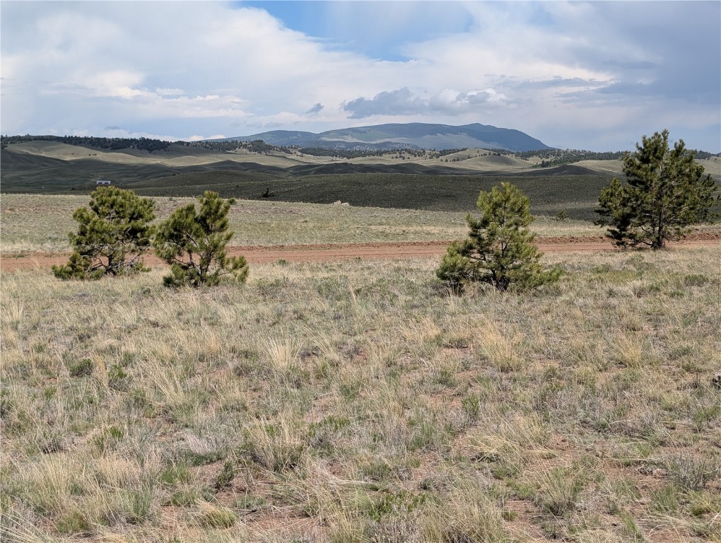 0 Black Beaver/Keechi ROAD