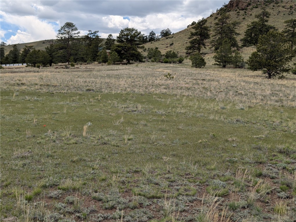 0 Black Beaver/Keechi ROAD