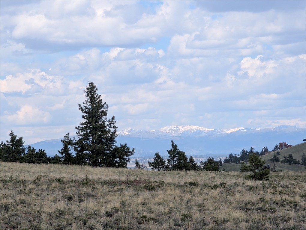 0 Black Beaver/Keechi ROAD