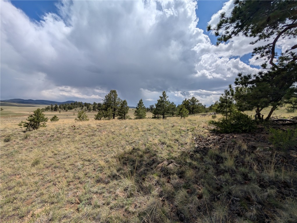 0 Black Beaver/Keechi ROAD