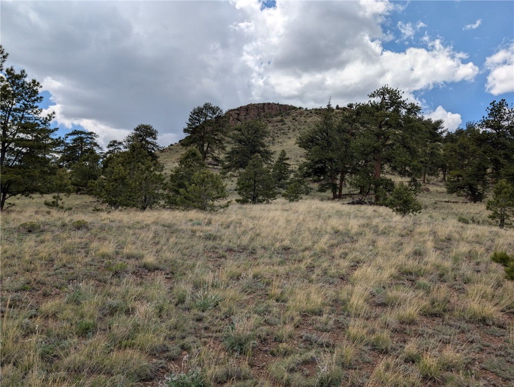 0 Black Beaver/Keechi ROAD