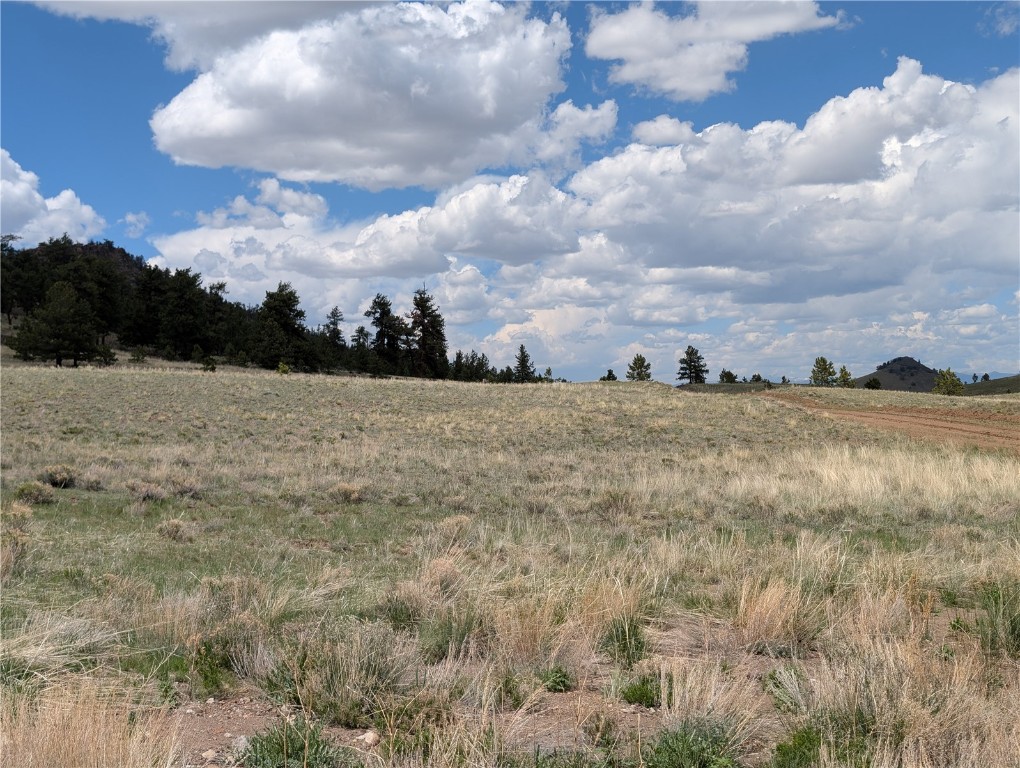 0 Black Beaver/Keechi ROAD