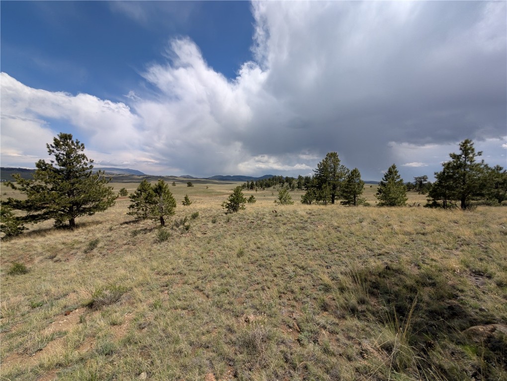 0 Black Beaver/Keechi ROAD