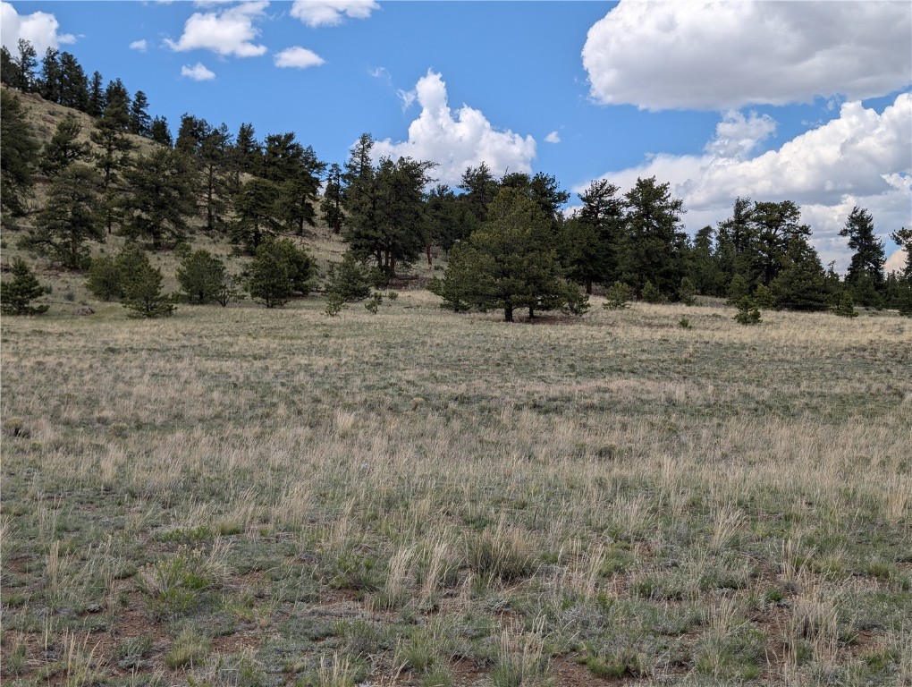 0 Black Beaver/Keechi ROAD