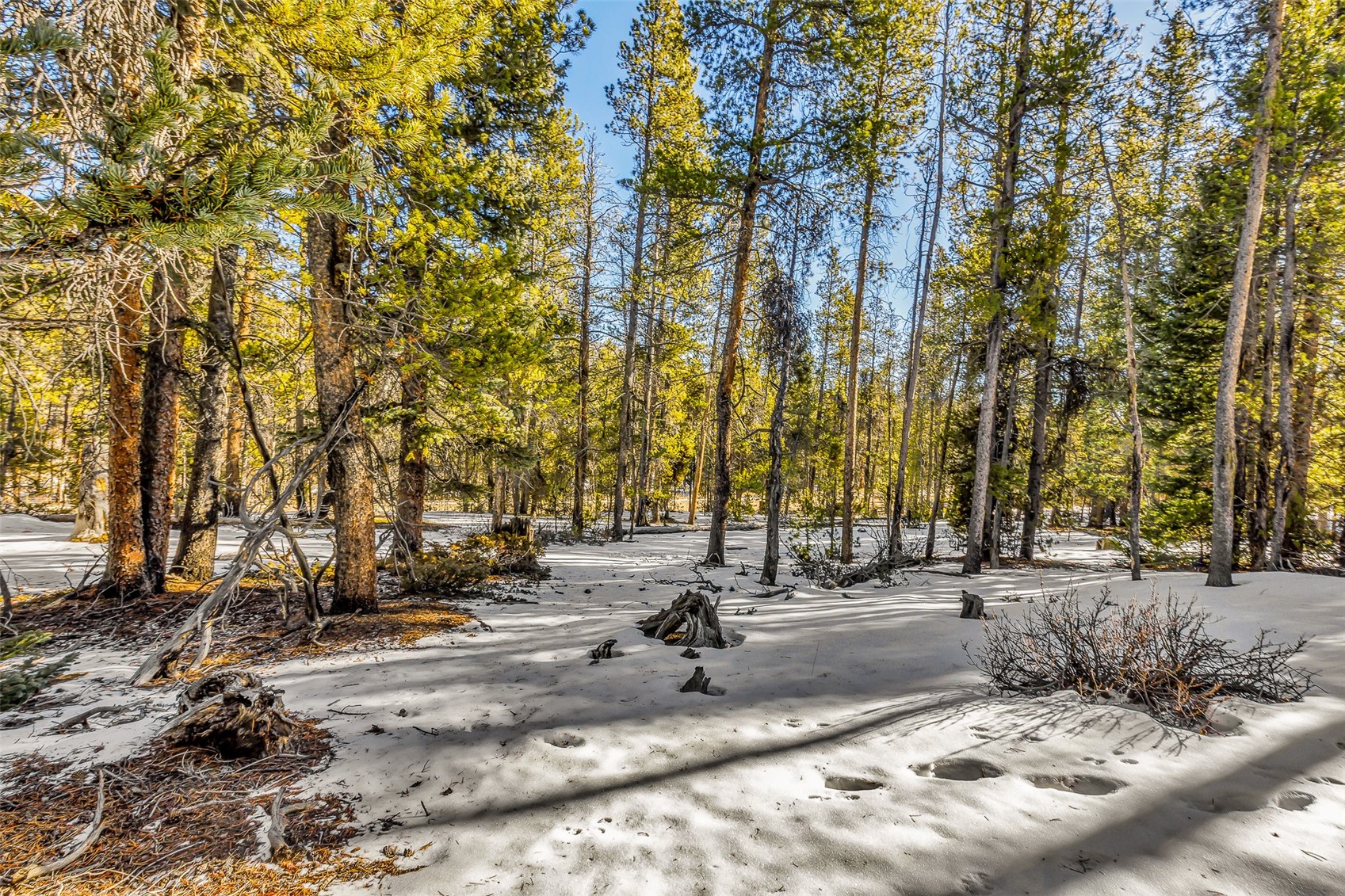 TBD COUNTY ROAD 19