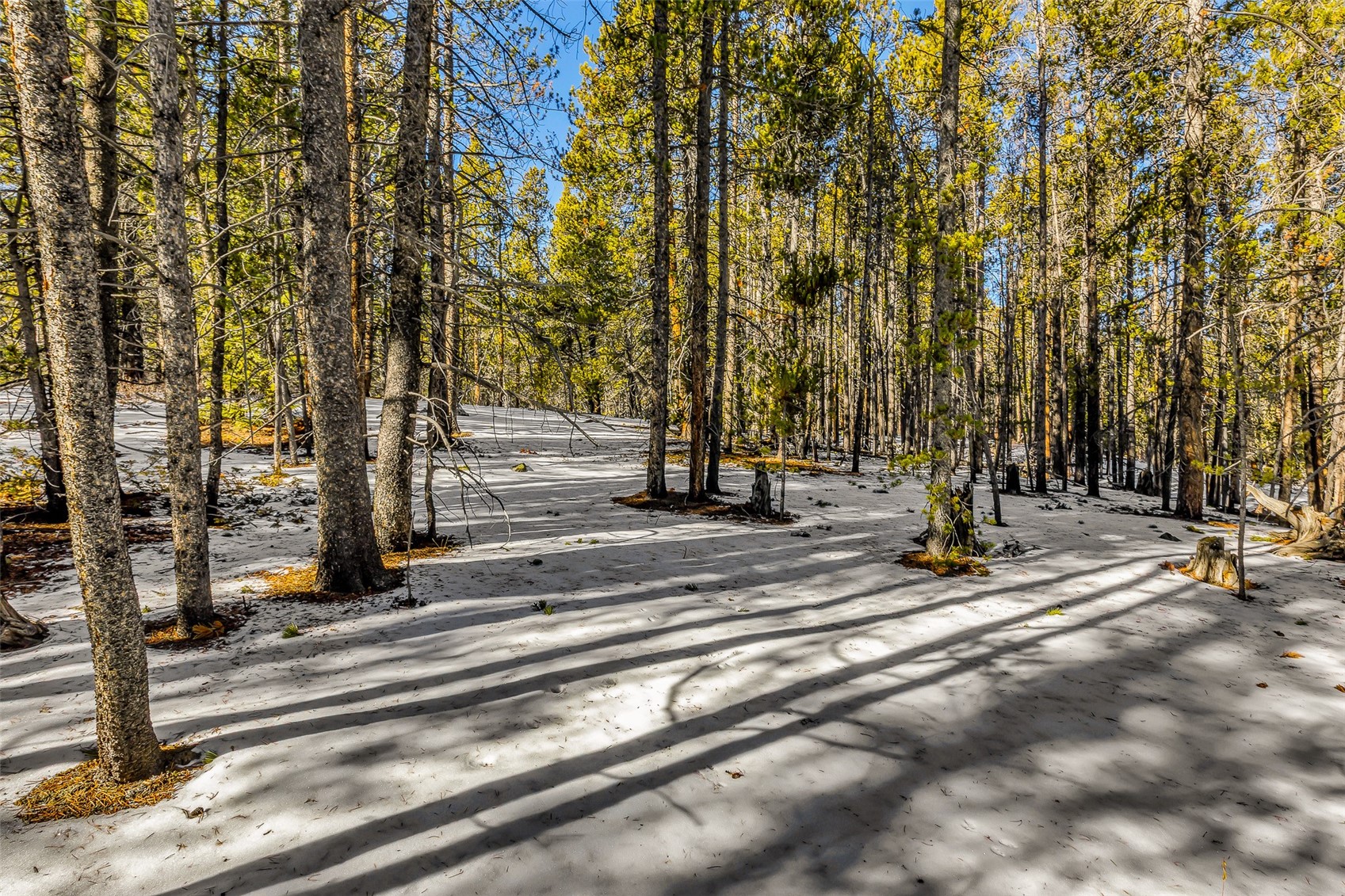 TBD COUNTY ROAD 19
