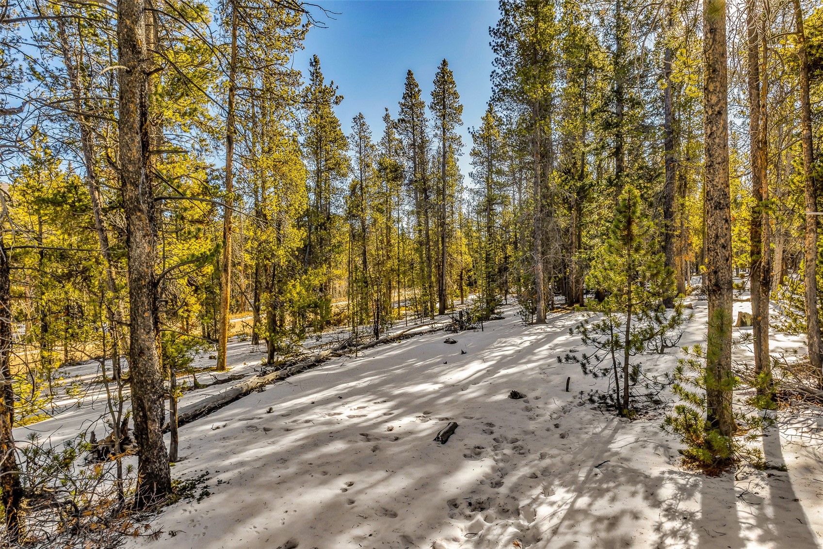 TBD COUNTY ROAD 19
