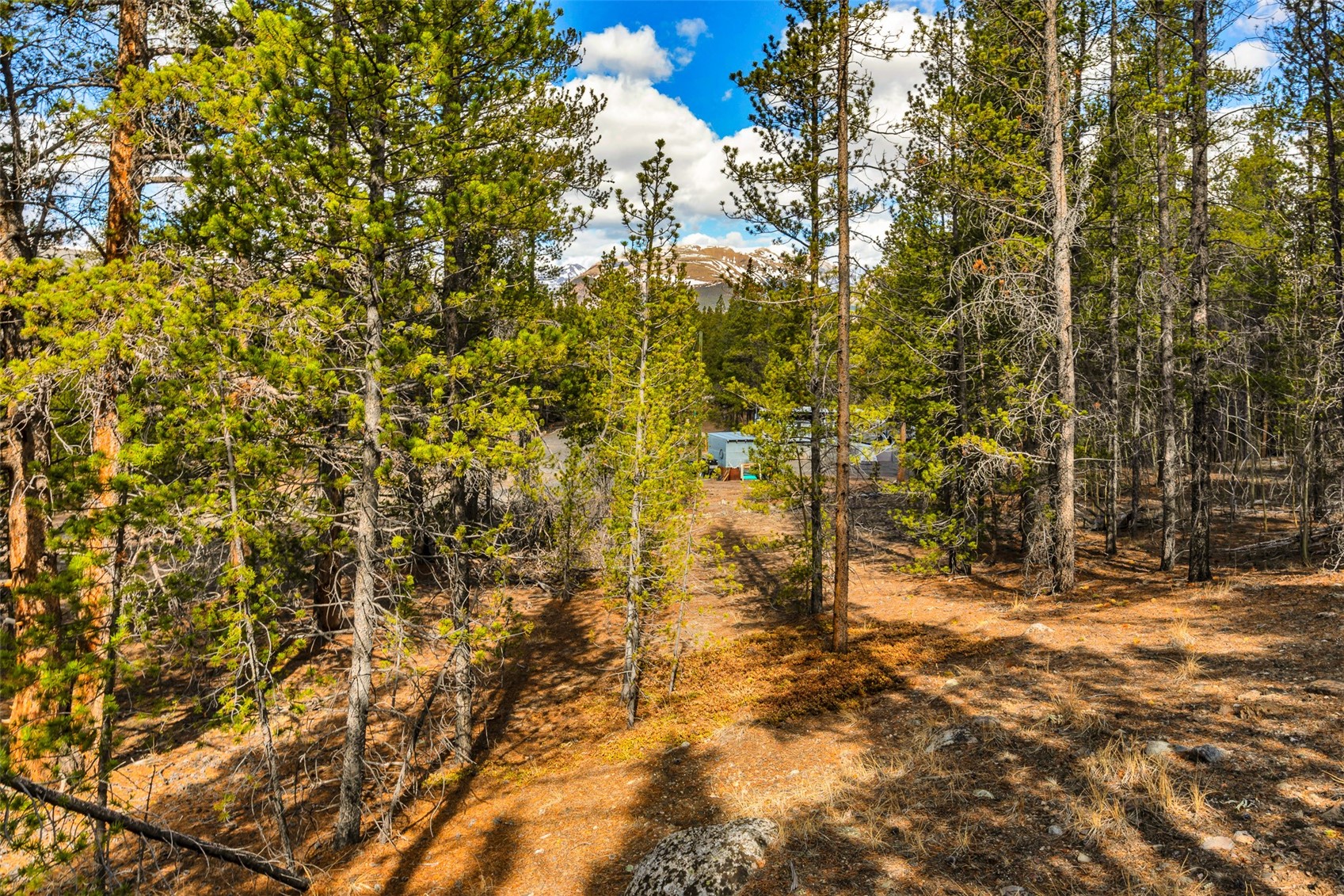 265 Placer DRIVE