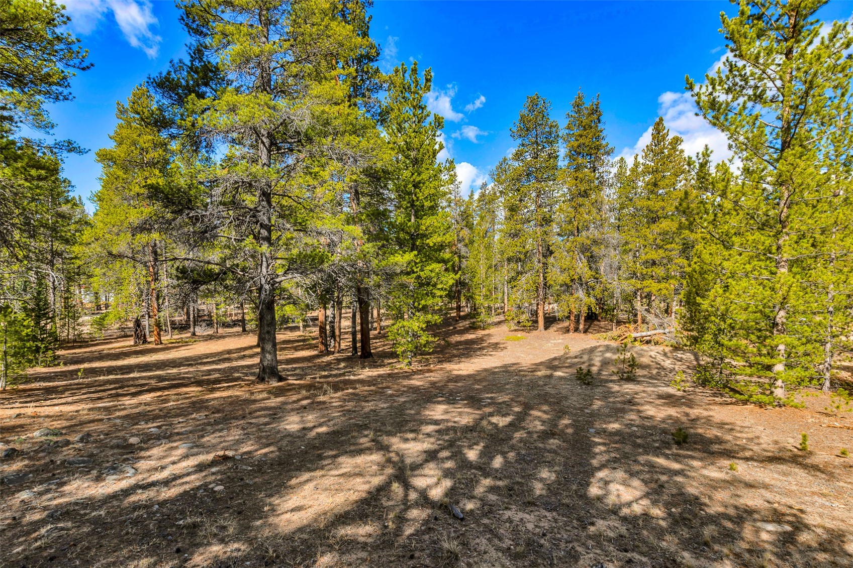 265 Placer DRIVE