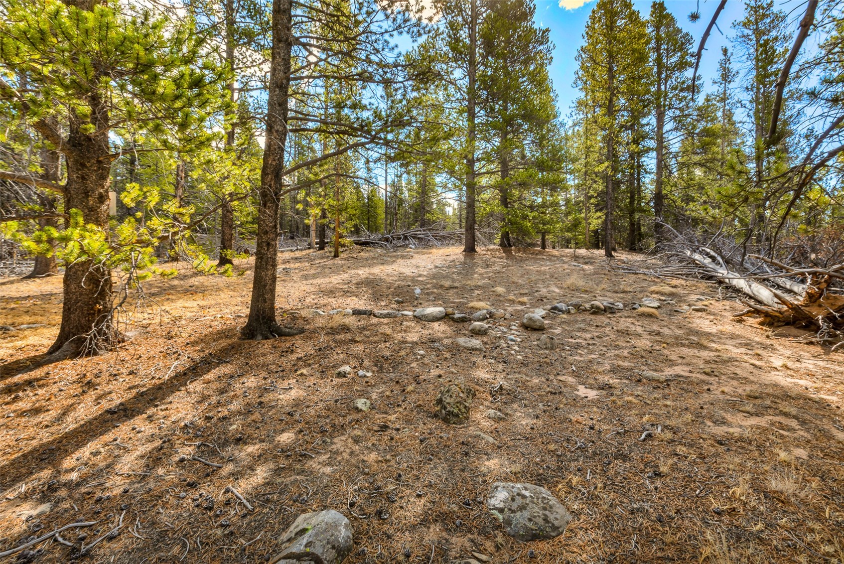 265 Placer DRIVE