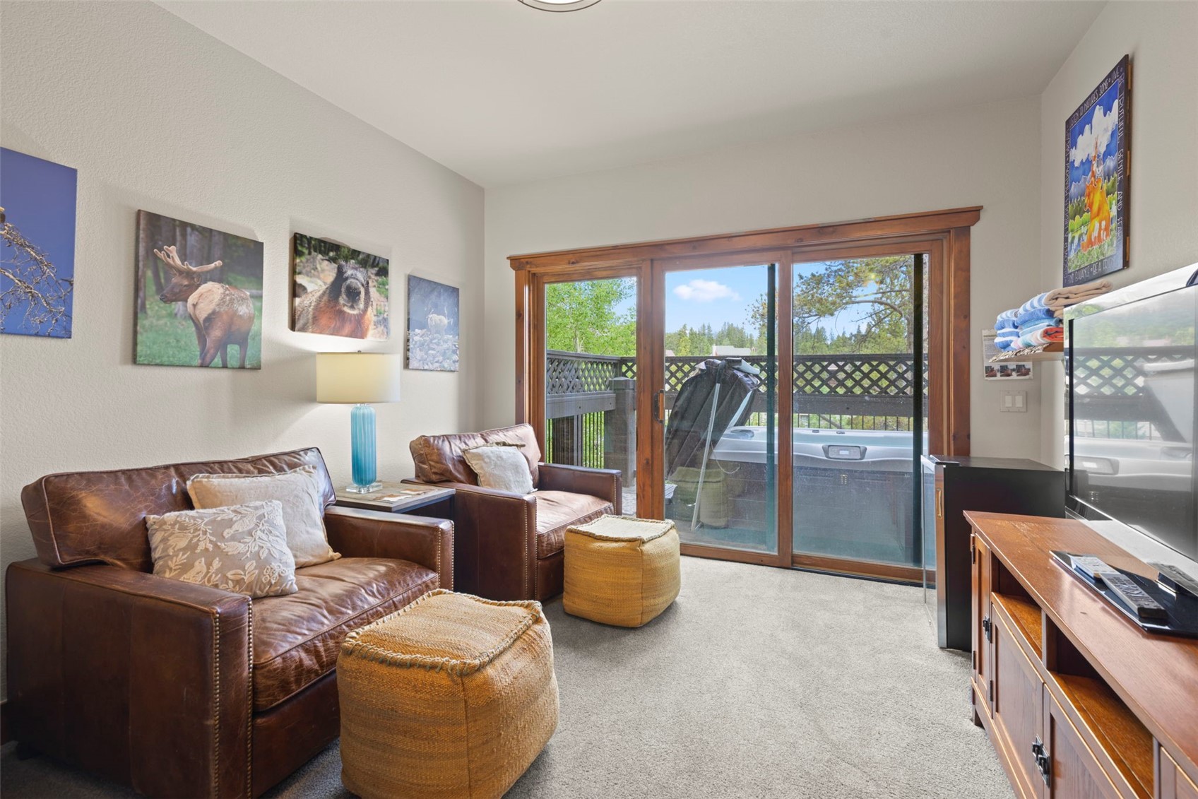 48 Bluff COURT 22