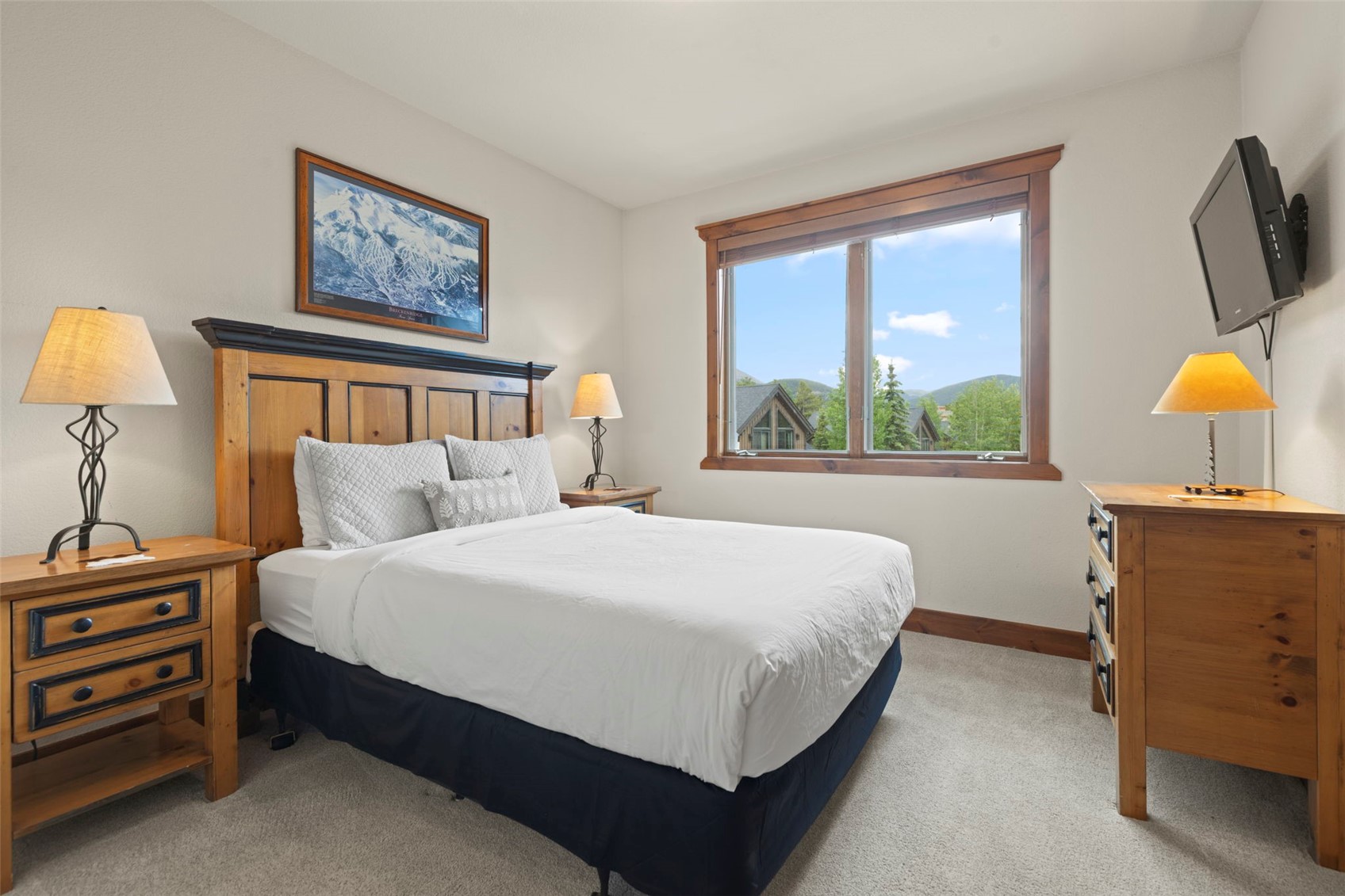 48 Bluff COURT 22