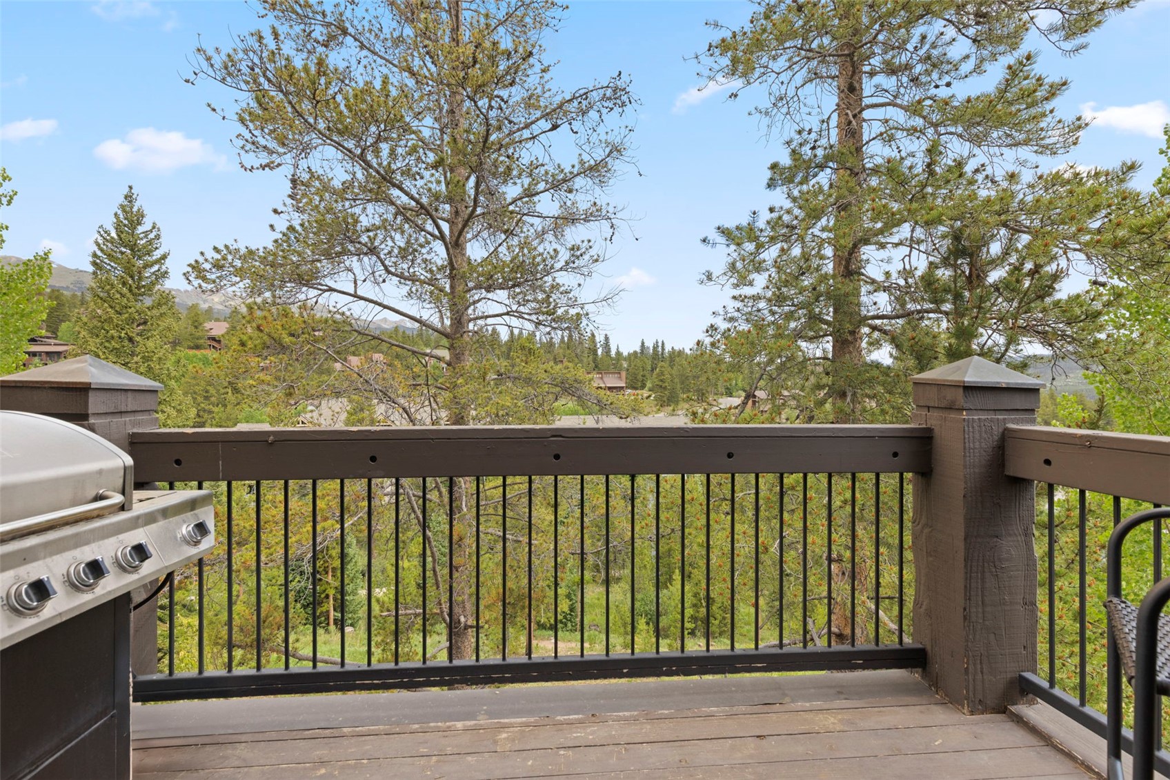 48 Bluff COURT 22