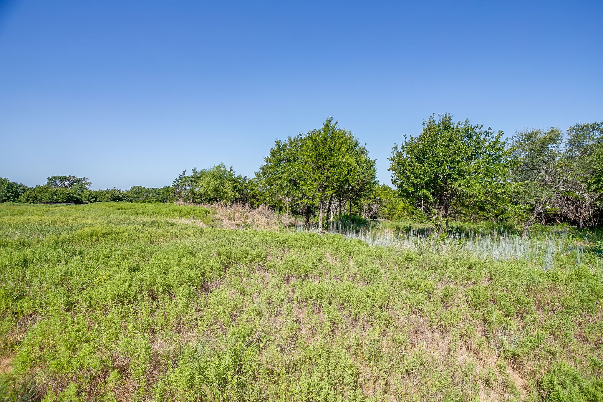 1066 Stagecoach Ranch Drive