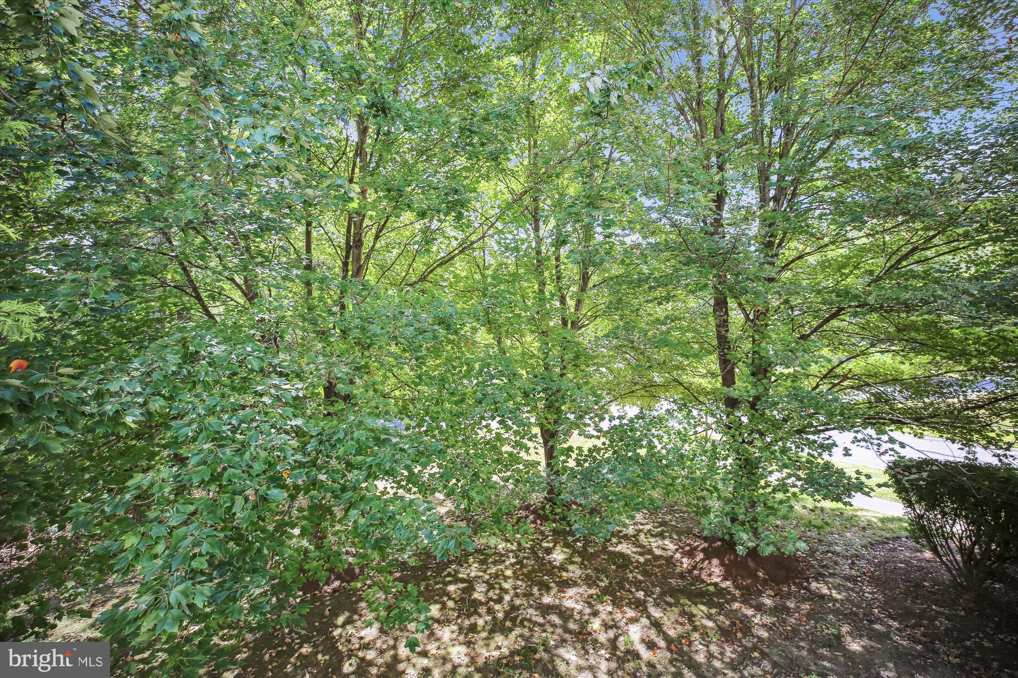 18601 SHADOWRIDGE TERRACE