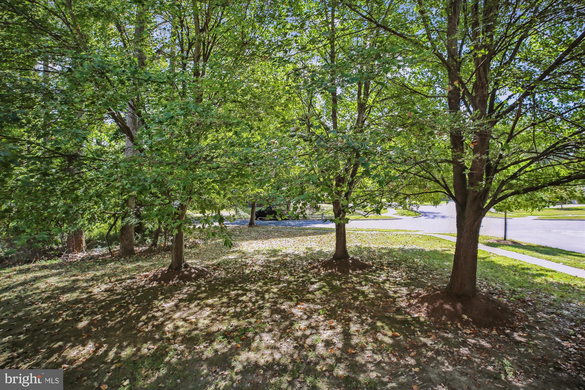 18601 SHADOWRIDGE TERRACE