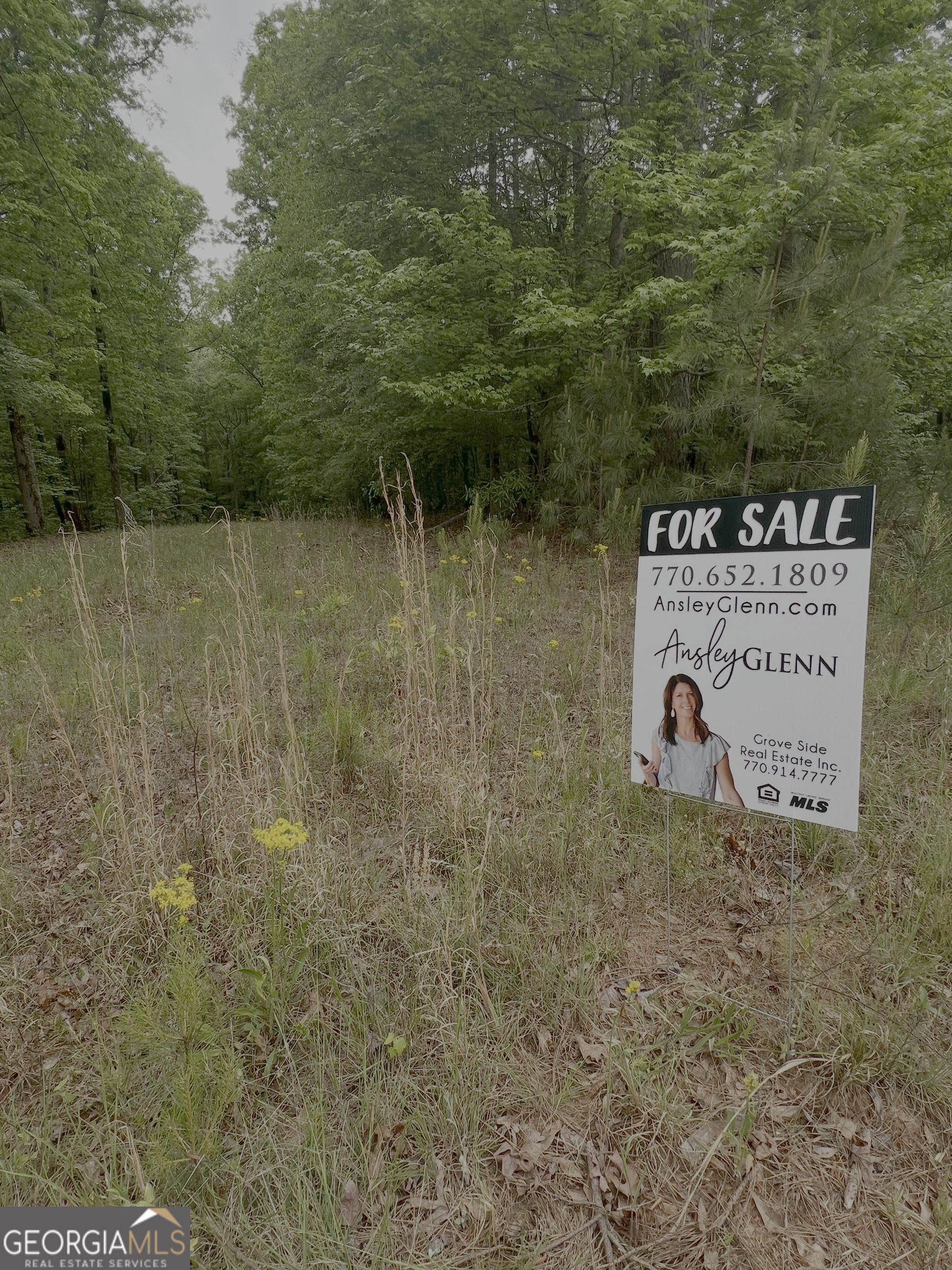 1585 N Ola Road