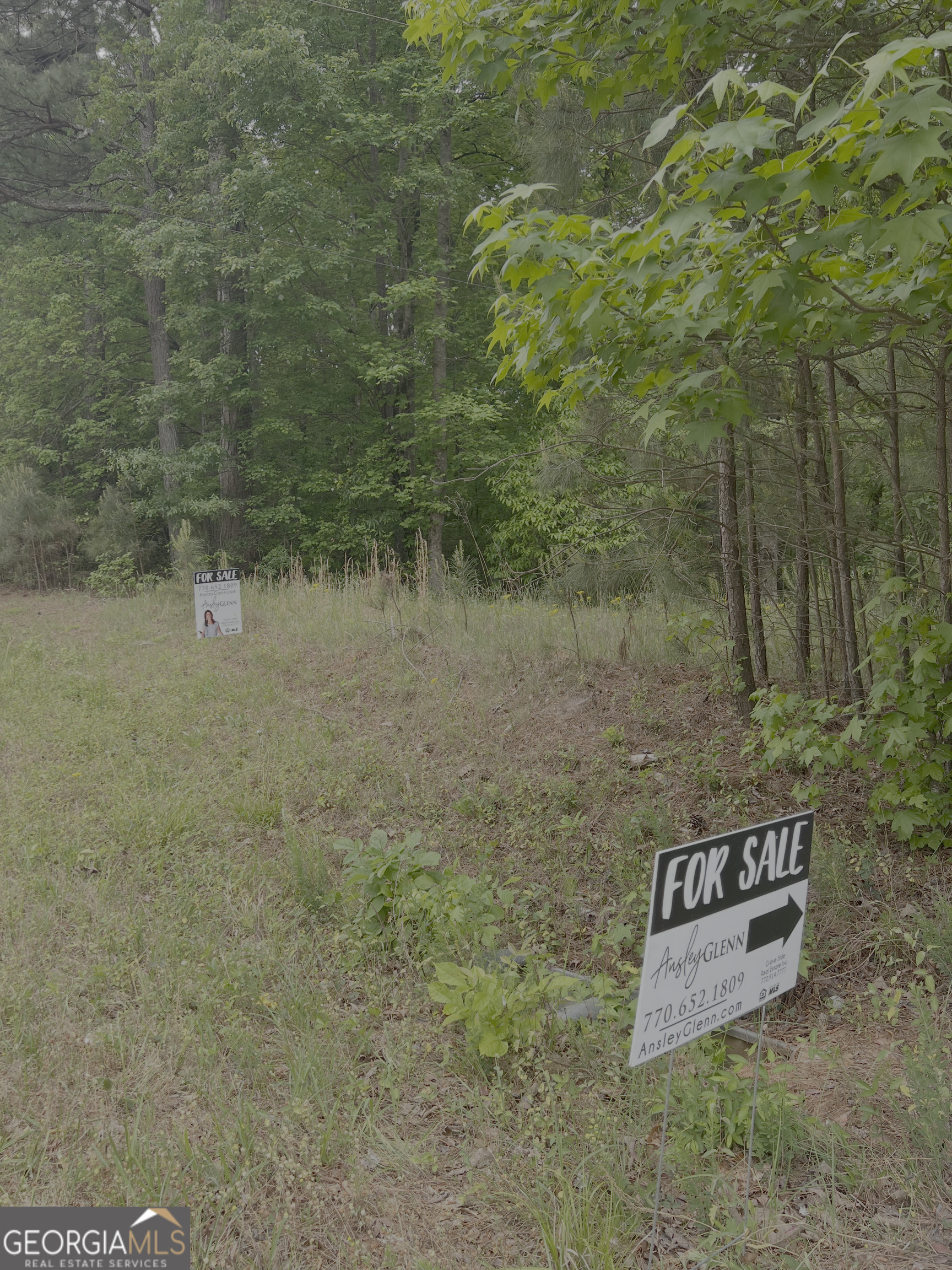 1585 N Ola Road