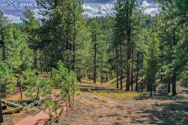4041 County Road 25