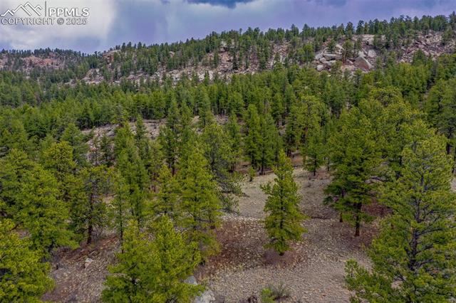 39609 Highway 24