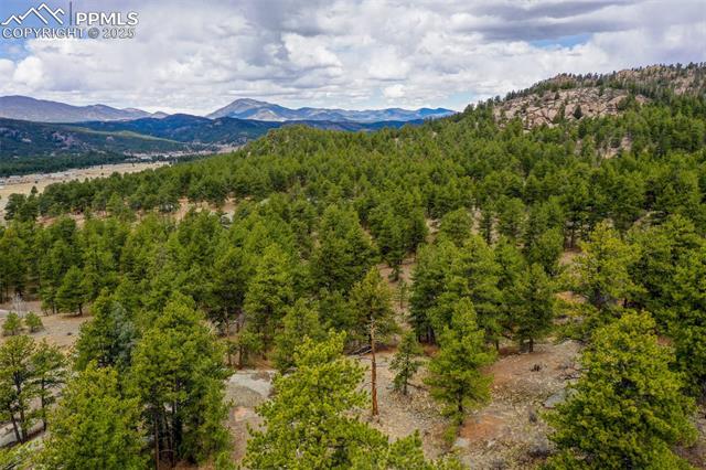 39609 Highway 24
