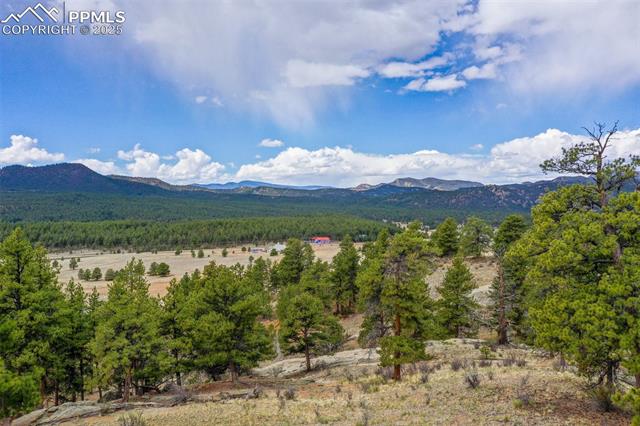 39609 Highway 24