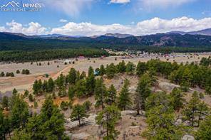 39609 Highway 24