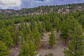 39609 Highway 24