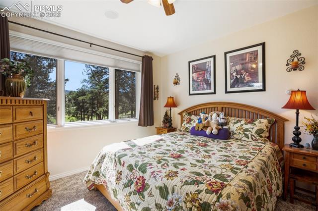 325 High Chateau Road